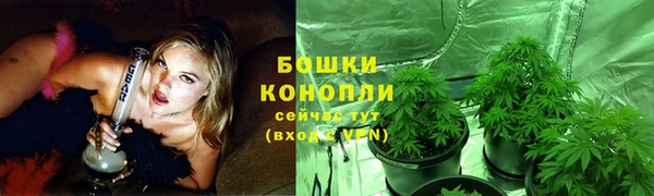 PSILOCYBIN Верхнеуральск